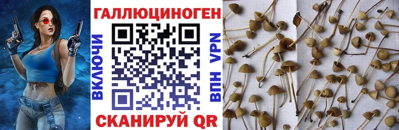 Галлюциногенные грибы прущие грибы  Гремячинск 